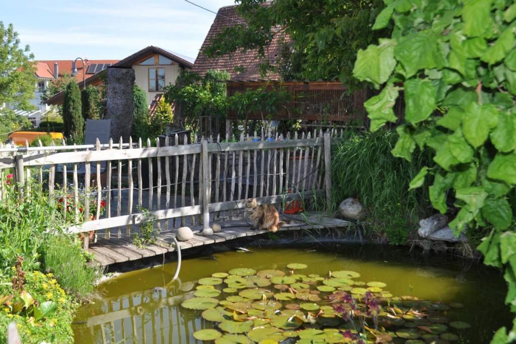 Ferienwohnung Roth, Unlingen Buitenkant foto